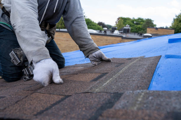 Professional Roofing Contractor in Craigsville, WV