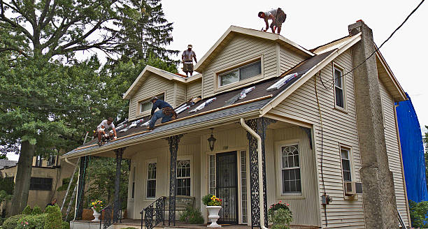 Best Gutter Installation and Roofing  in Craigsville, WV