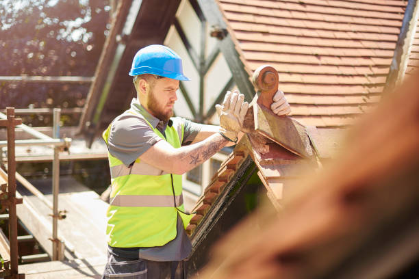 Roof Gutter Cleaning in Craigsville, WV